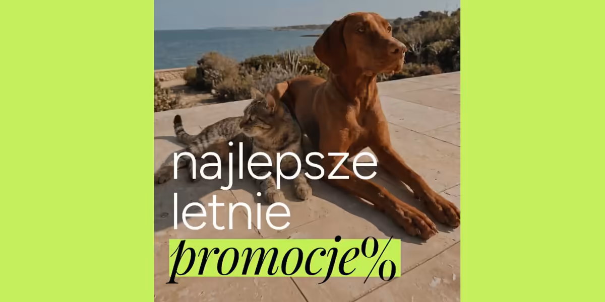 Johndog.pl: Najlepsze okazje cenowe!