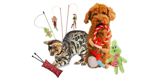 Johndog.pl: -10% na prezenty dla Twojego pupila 28.11.2025