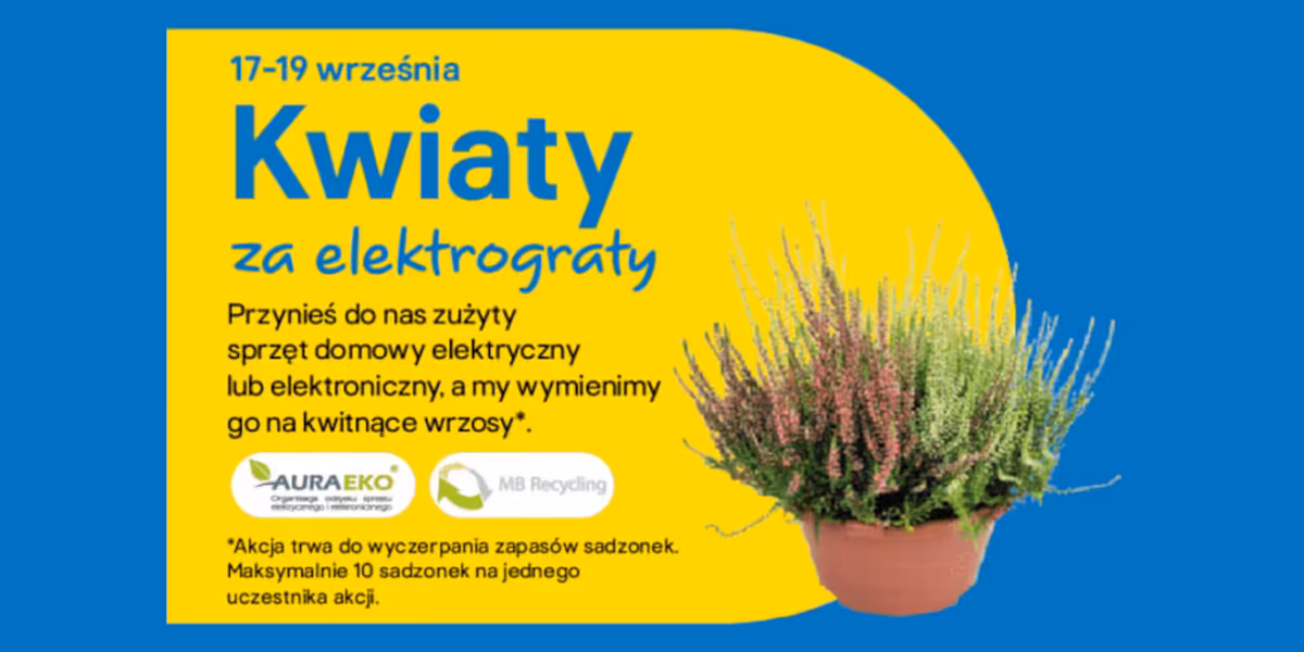 Castorama: Kwiaty za elektrograty