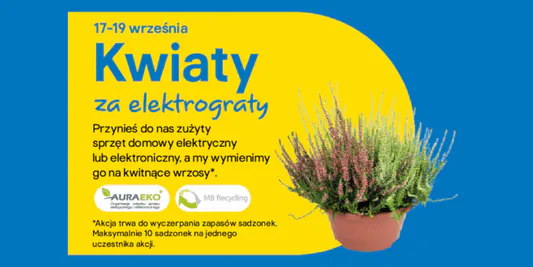 Castorama:  Kwiaty za elektrograty 03.09.2026