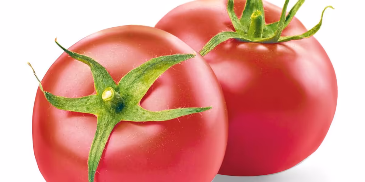 Lidl: -53% na pomidory malinowe