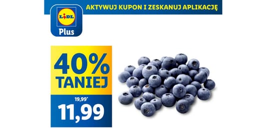 Lidl: KUPON -40% na borówki amerykańskie 05.06.2025