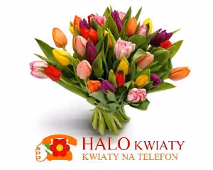 Kwiaciarnia Halokwiaty