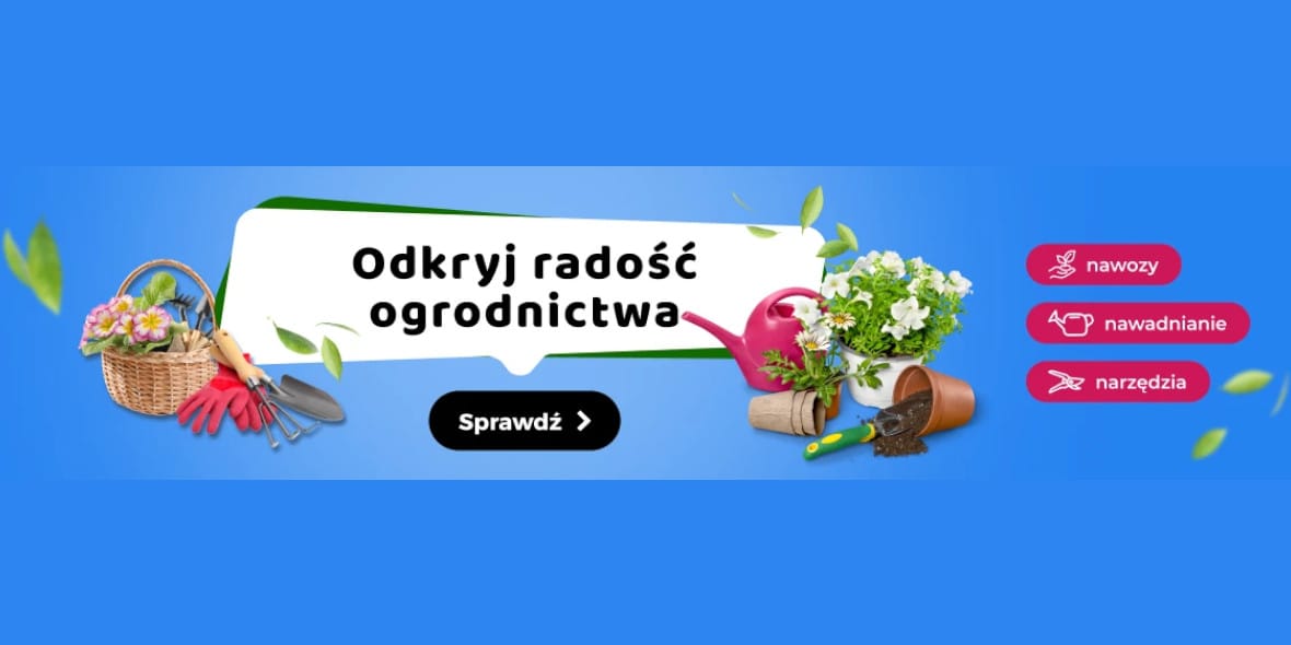 Bee:  Ogród z Bee 24.03.2025