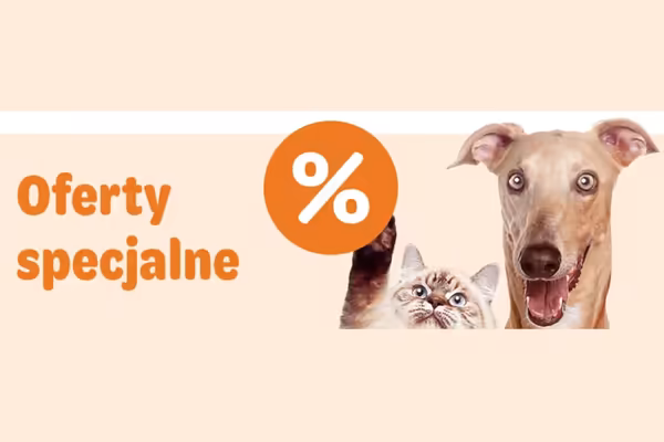 :  Oferty specjalne i promocje