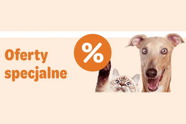 :  Oferty specjalne i promocje