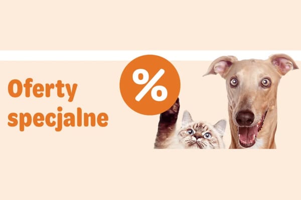 :  Oferty specjalne i promocje