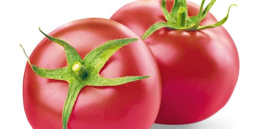 Lidl: -32% na pomidory malinowe 04.12.2025