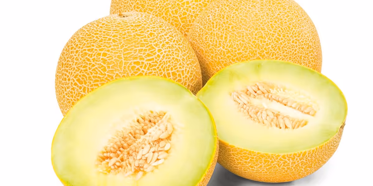 Lidl: KUPON -61% na melon Galia