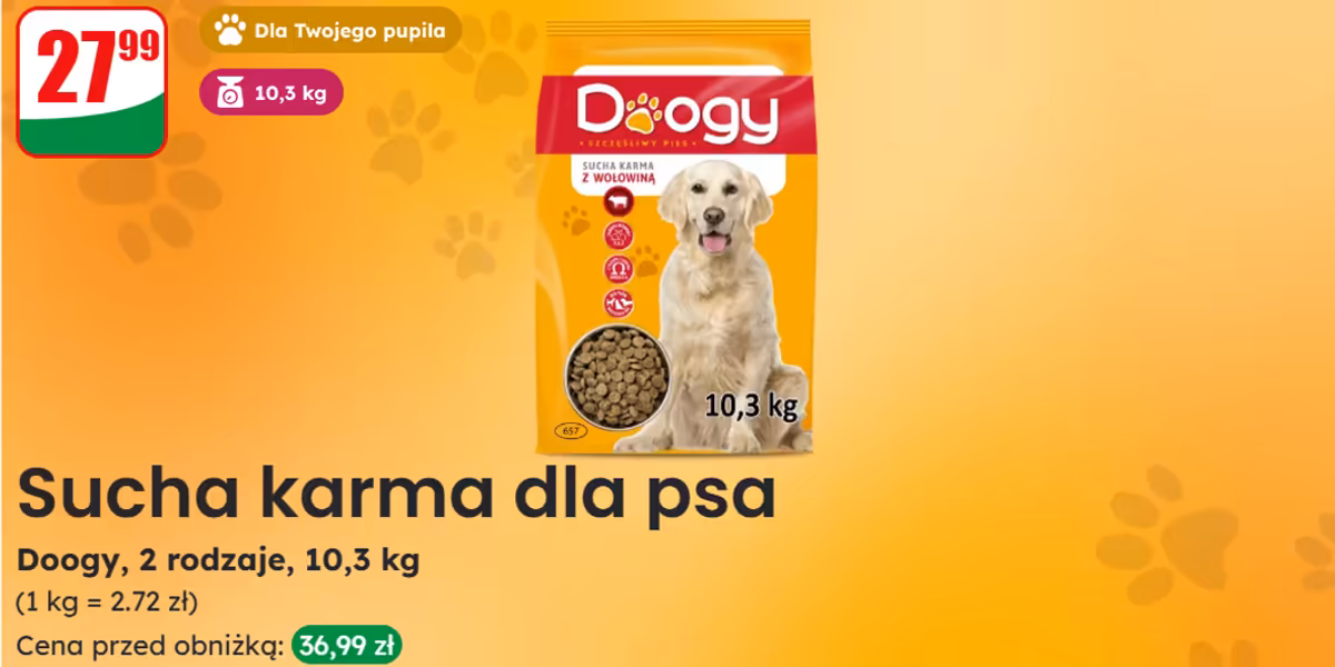 Dino: 27,99 zł za suchą karmę Doogy