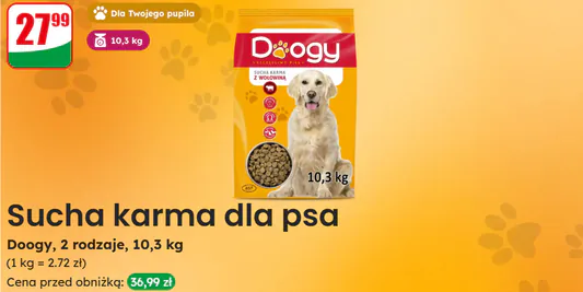 Dino: 27,99 zł za suchą karmę Doogy 26.05.2025