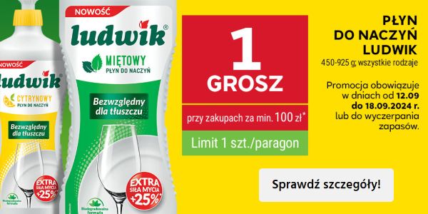 Stokrotka Supermarket: 1 grosz za płyn do naczyń Ludwik 12.09.2024