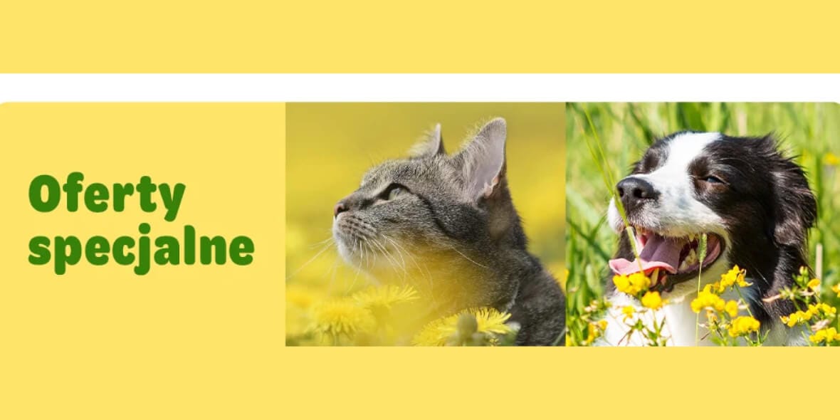 zooplus: Oferty specjalne i promocje