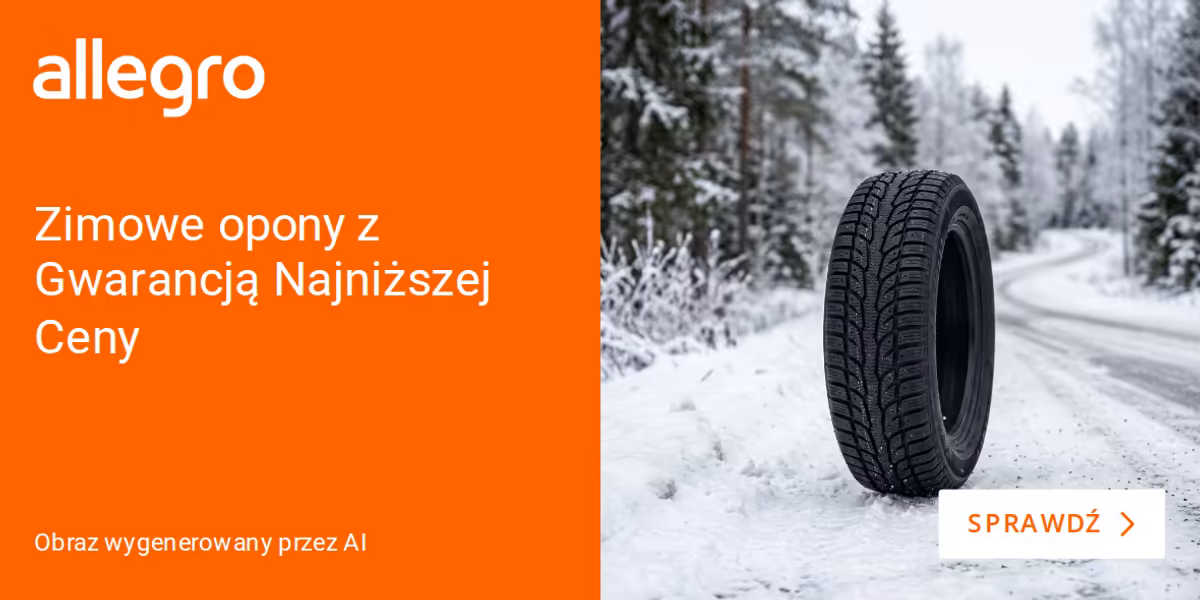 Allegro: Zimowe opony na Allegro