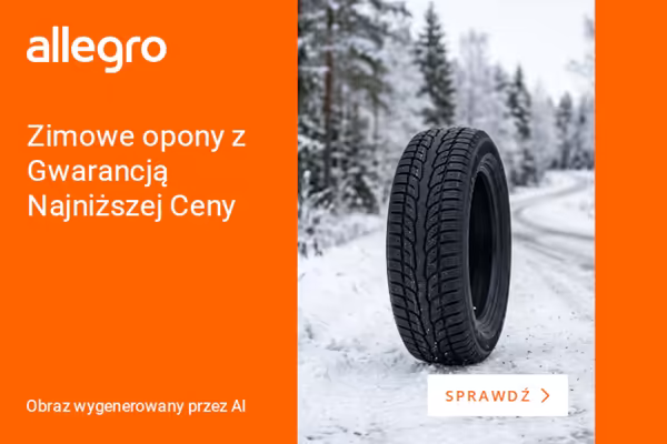 Allegro:  Zimowe opony na Allegro
