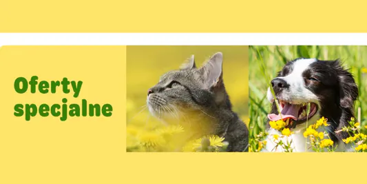 zooplus:  Oferty specjalne i promocje 20.04.2026