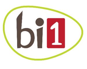 Logo bi1