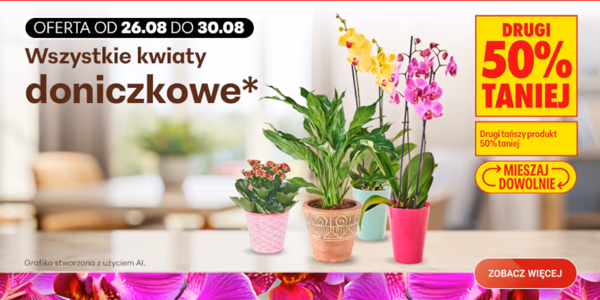 Biedronka: -50% na wszystkie kwiaty doniczkowe