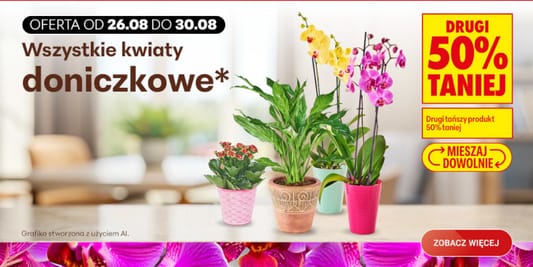 Biedronka: -50% na wszystkie kwiaty doniczkowe 26.08.2026