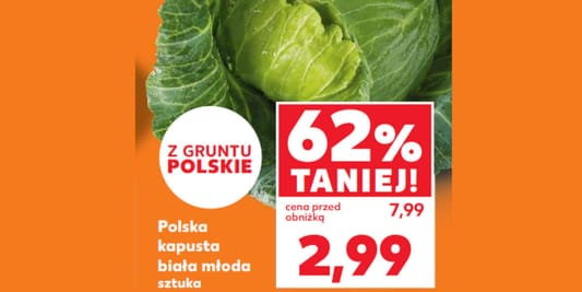 Kaufland: -62% na polską kapustę białą młodą 05.06.2025