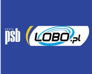 Polskie Składy Budowlane