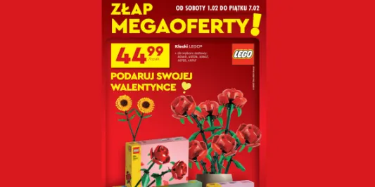 Biedronka:  Kwiaty LEGO® na Walentynki w Biedronce 01.02.2025