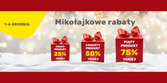 Bricomarche: Do -75% na mikołajkowe zakupy 01.12.2025