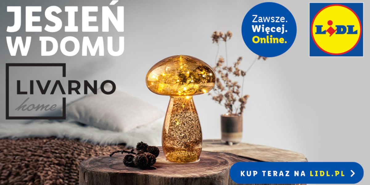 Lidl: ONLINE Jesień w domu!