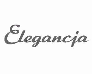 ELEGANCJA TOREBKI