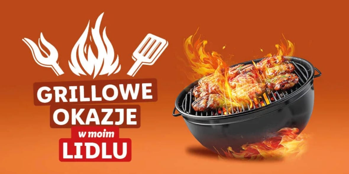 Lidl: Grillowe Okazje w Lidlu