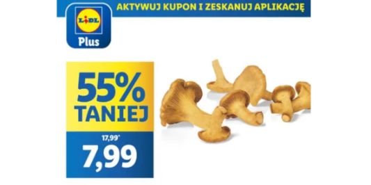 Lidl: KUPON -50% na polskie kurki 25.07.2024
