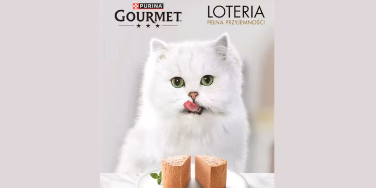 Loterie i Konkursy: Loteria pełna przyjemności