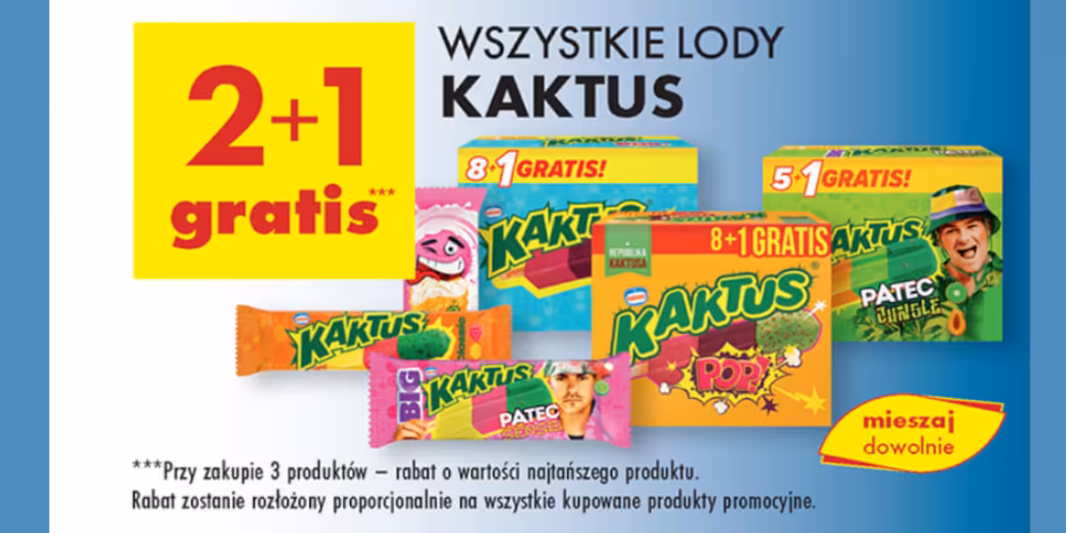 Biedronka: 2+1 GRATIS na wszystkie lody Kaktus