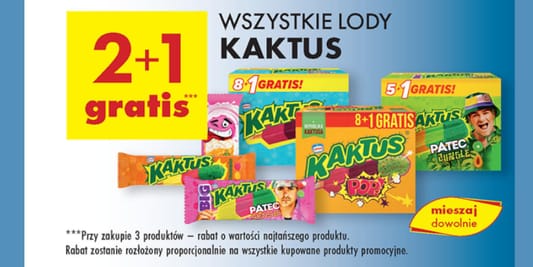 Biedronka: 2+1 GRATIS na wszystkie lody Kaktus 03.06.2025