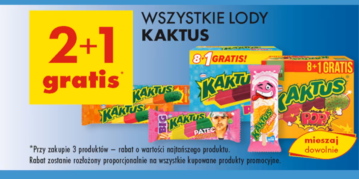 Biedronka: 2+1 GRATIS na wszystkie lody Kaktus