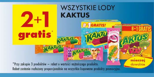 Biedronka: 2+1 GRATIS na wszystkie lody Kaktus 20.05.2025