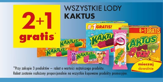Biedronka: 2+1 GRATIS na wszystkie lody Kaktus 20.05.2025