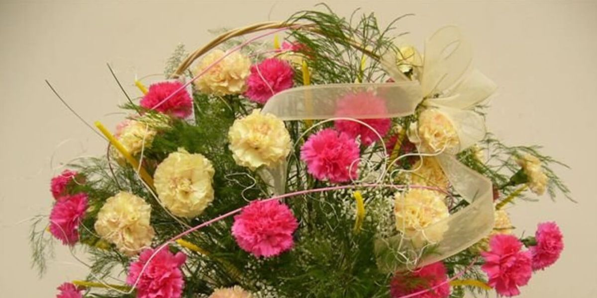 Kwiaciarnia Róża : -10% na kwiaty cięte i doniczkowe