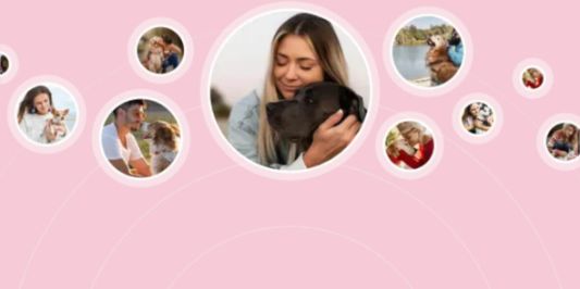Petsy:  Indywidualna opieka dla Twojego pupila 02.12.2024
