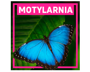 Motylarnia
