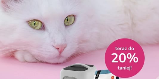 Krakvet: Do -20% z okazji Dnia Kota 16.02.2026