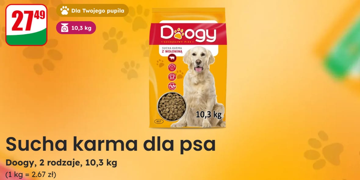 Dino: 27,49 zł za suchą karmę Doogy 24.03.2025