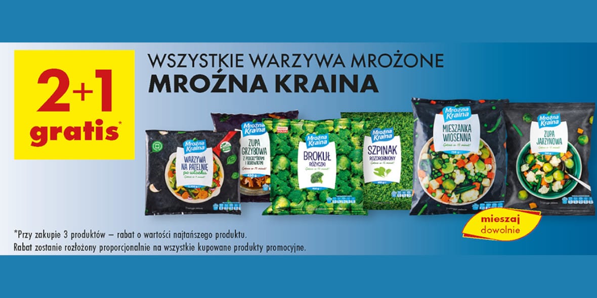 Biedronka: 2+1 GRATIS na wszystkie warzywa mrożone Mroźna Kraina 13.05.2025