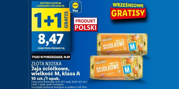 Lidl: Kupon 1+1 GRATIS na jaja ściółkowe 16.09.2024