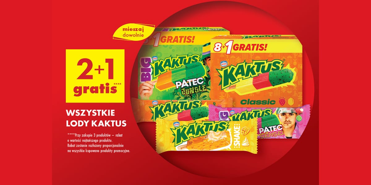Biedronka: 2+1 GRATIS na wszystkie lody Kaktus